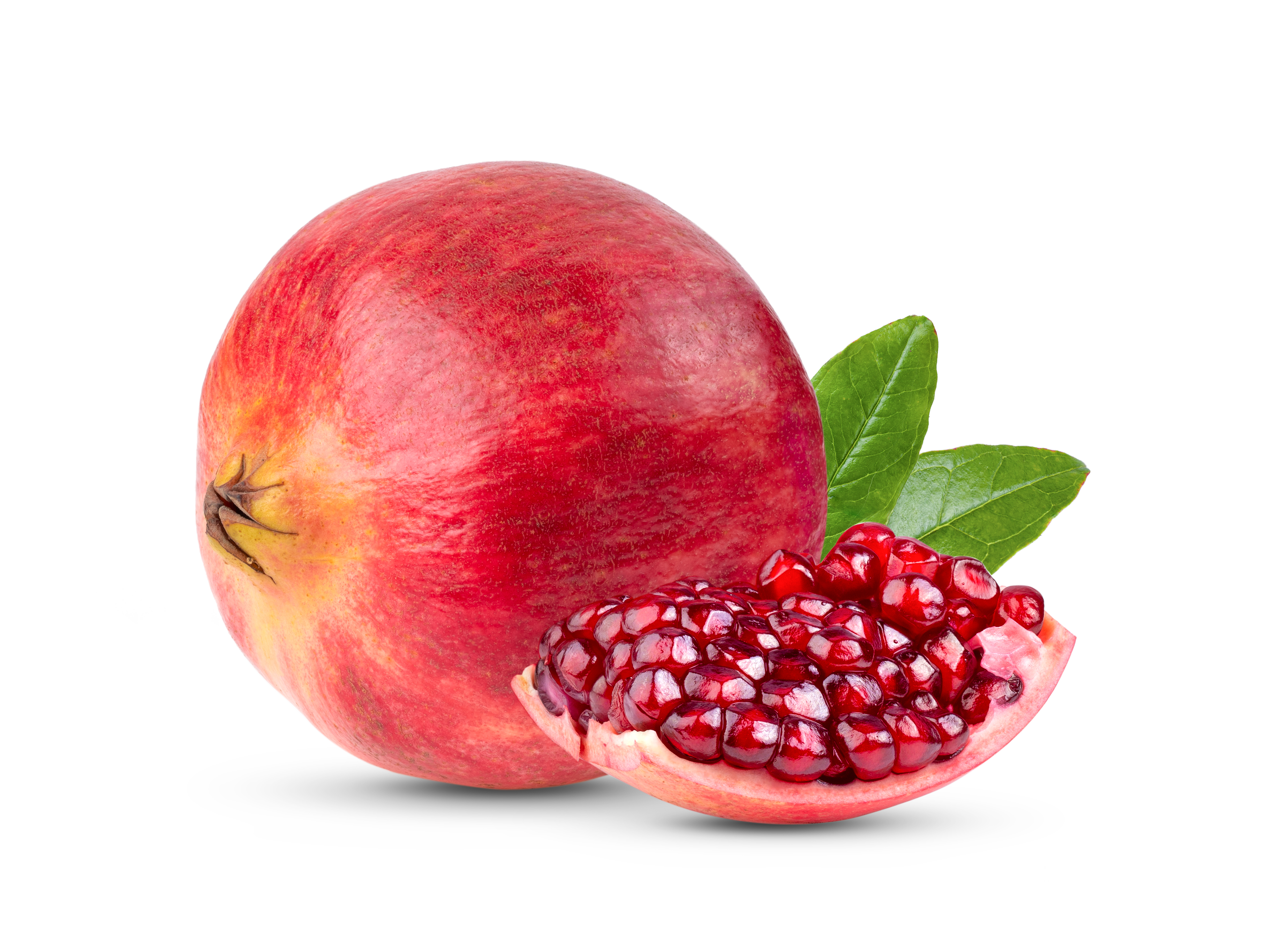 YALDA1